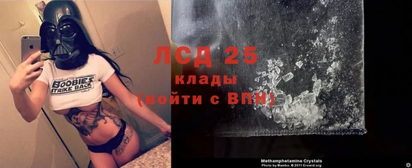 дмт Бородино