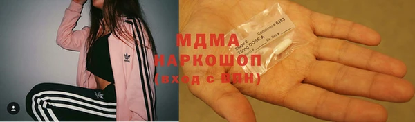дмт Бородино