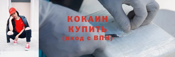 дмт Бородино