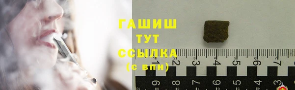 дмт Бородино