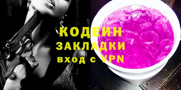 дмт Бородино
