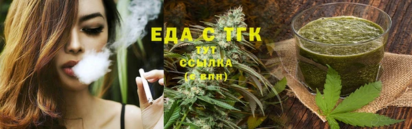 дмт Бородино
