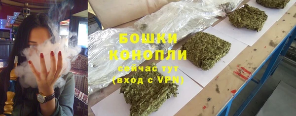дмт Бородино