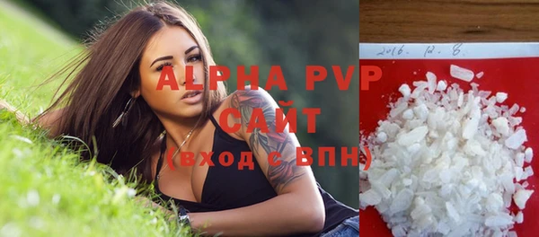дмт Бородино