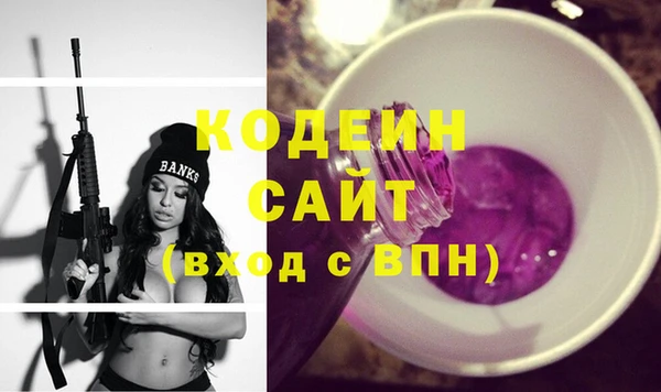 дмт Бородино